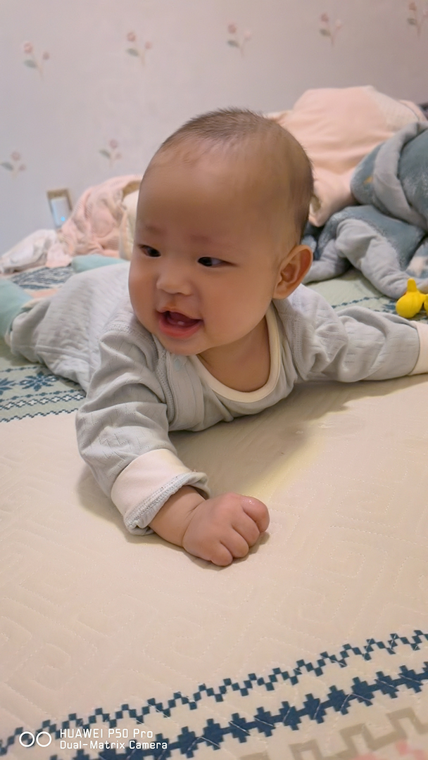 2024-11-29 16-47-14.581.jpg